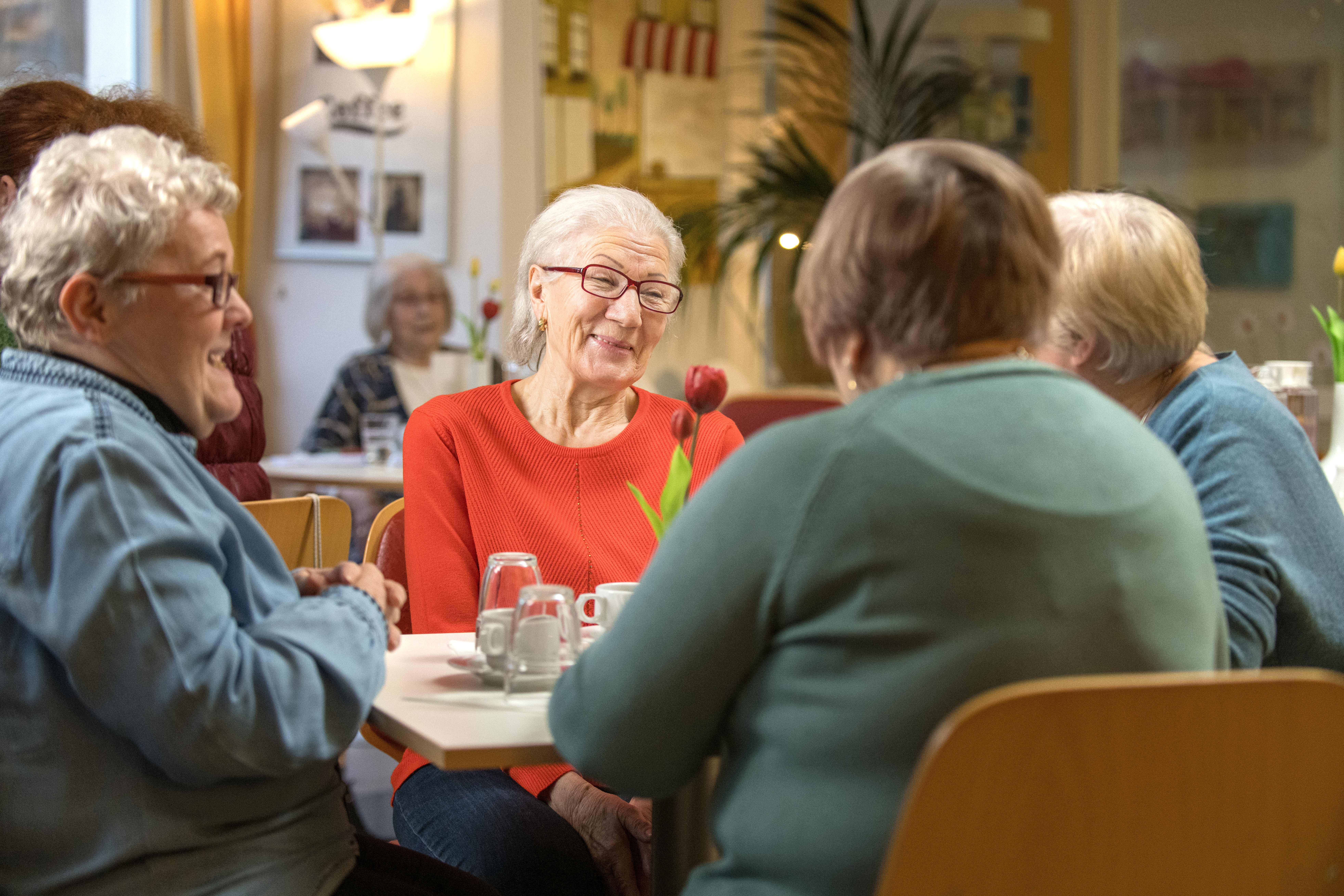 Eine Gruppe älterer Menschen sitzt am Tisch und unterhält sich.
